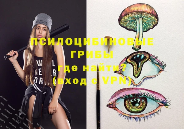 твердый Семилуки