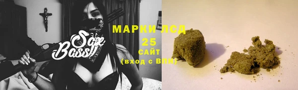 PSILOCYBIN Волосово