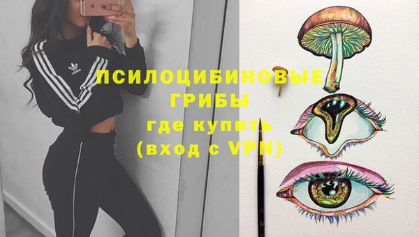 PSILOCYBIN Волосово