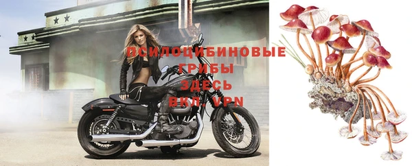 бошки Семикаракорск