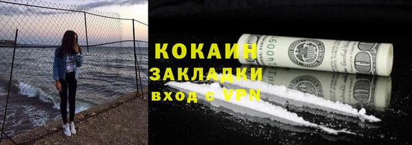 PSILOCYBIN Волосово