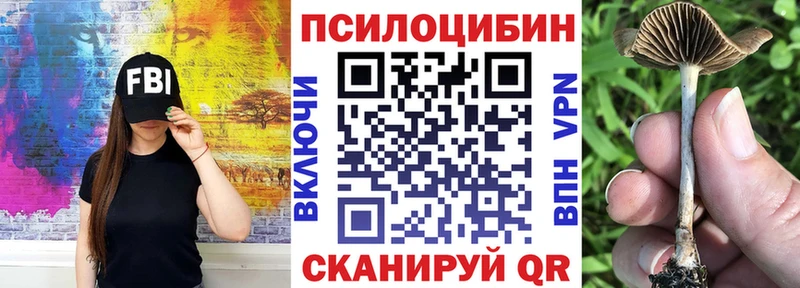 Псилоцибиновые грибы Cubensis  купить  цена  Славянск-на-Кубани 
